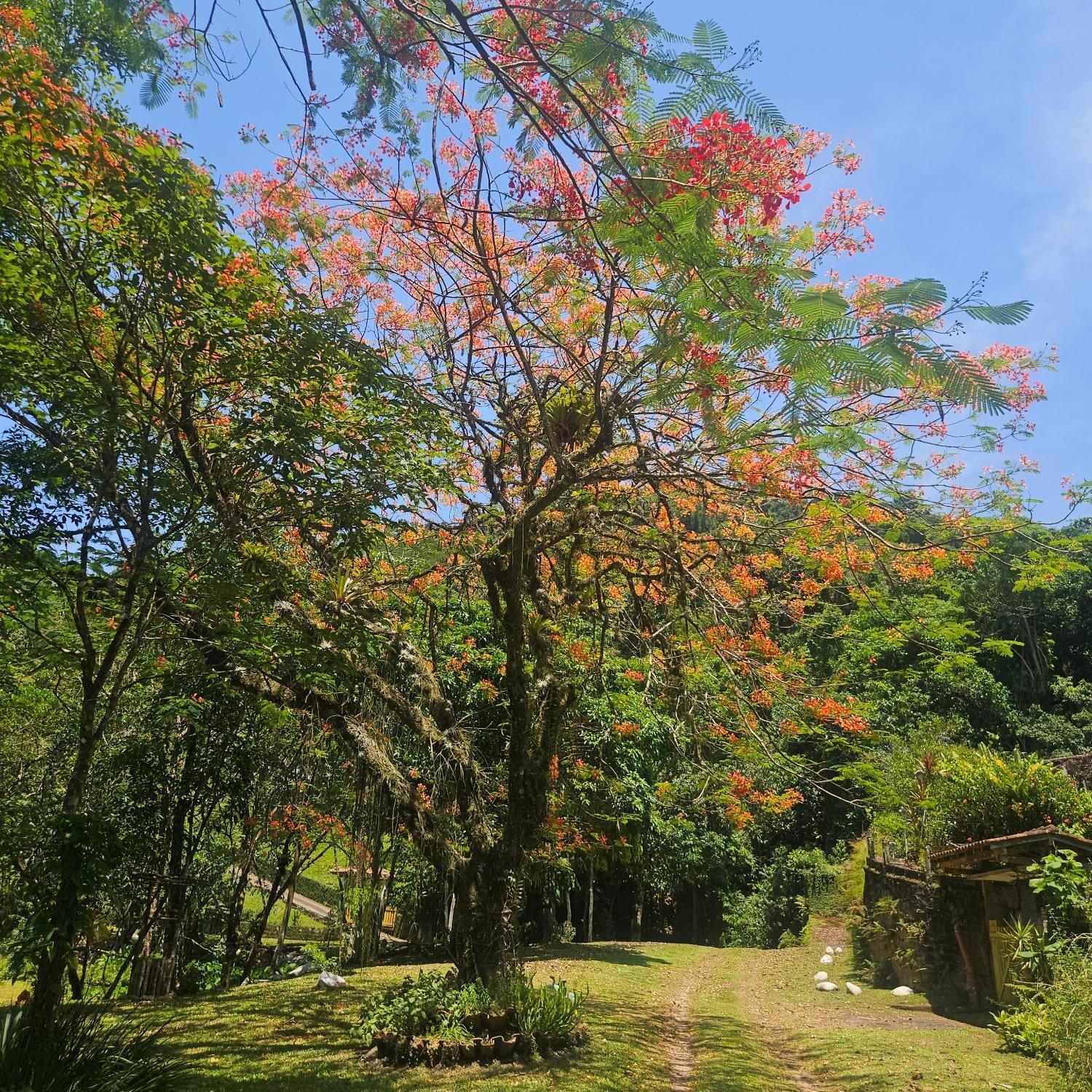 Sitio Cristo Redentor Villa Guapimirim Exteriör bild